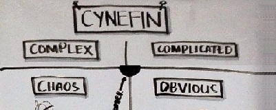 Cynefin